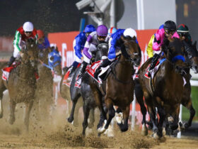 Dubai world cup at Meadowlands Racetrack