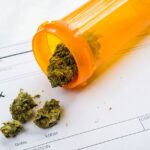 cannabis health