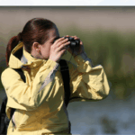 nature walk birds meadowlands dekorte park