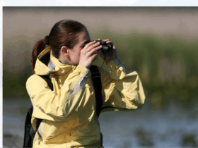nature walk birds meadowlands dekorte park
