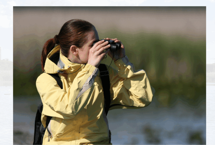 nature walk birds meadowlands dekorte park