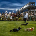 weiner dog derby meadowlands racetrack