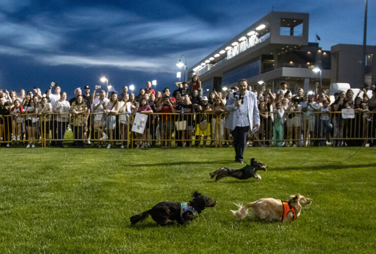 weiner dog derby meadowlands racetrack