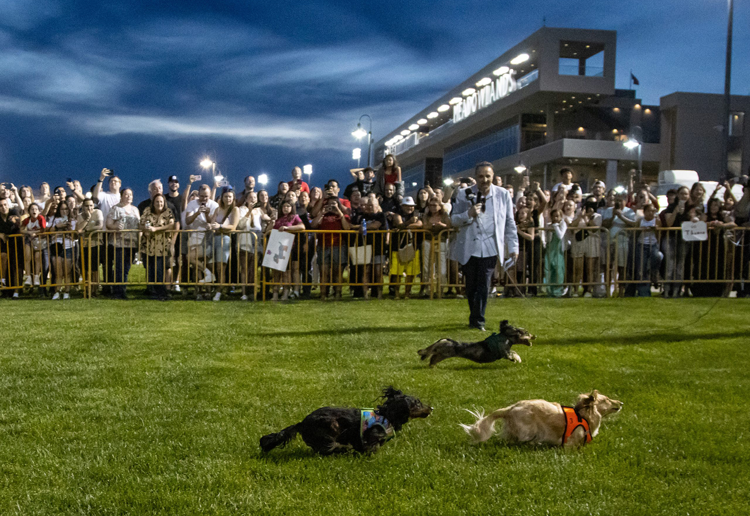 weiner dog derby meadowlands racetrack