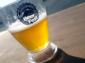 meadowlands racetrack beerfest