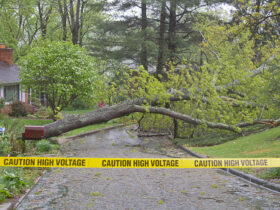 Electric Safety, PSEG, summer storms, prepare