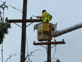 PSEG lineman, community impact report, giving