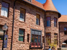 felician University SIP grant